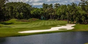 Póster de arte de pared de campo de golf TPC Sawgrass agujero 12 de ancho tipo imagen - Imagen 1 de 21