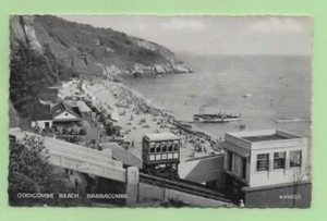 031086 Postcard BABBACOMBE Devon - Picture 1 of 3
