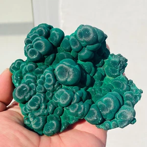 358g seltene natürliche Samt Malachit grobe Katzenauge Cluster Mineral Probe - Bild 1 von 10