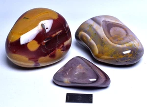 3 x MOOKAITE POLISHED FREEFORMS, Fossil Radiolarian, Australia P314 - Bild 1 von 4