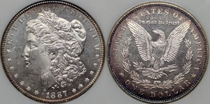 1887 MS64DMPL NGC Morgan Deep prooflike old fatty holder - Picture 1 of 2