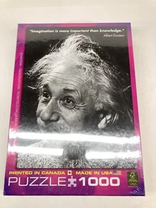 EINSTEIN IMAGINATION-More Important than Knowledge 1000 pc Puzzle 19 X 26 NEW - Picture 1 of 5