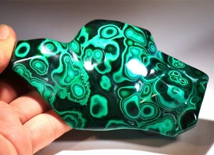 Malaquita verde viva de 5,25" de alta calidad con crisocola azul, ¡Congo! CR115 - Imagen 1 de 6