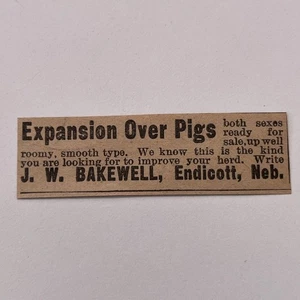 J.W. Anuncio agrícola Bakewell Expansion Over Pigs Endicott NE 1910 Nebraska SAG9-S16 - Imagen 1 de 2