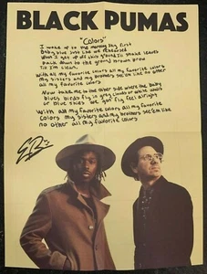 Black Pumas - Colors [Promo Poster] 18x24 - Picture 1 of 1