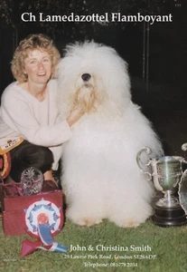 ALTE ENGLISCHE SCHAFHUNDRASSE ZWINGER WERBE DRUCKSEITE LAMEDAZOTTEL HUNDEWELT 1993 - Bild 1 von 1
