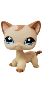Authentische Littlest Pet Shop Kurzhaar #1024 Karamell Wirbel blaue Augen LPS neu USA - Bild 1 von 6