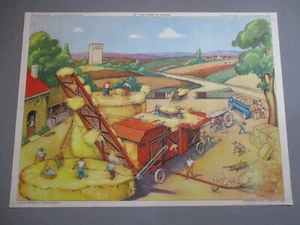 AT183 AFFICHE SCOLAIRE ECOLE ROSSIGNOL SCENE BATTAGE - CULTURE MARAICHERE - Imagen 1 de 6