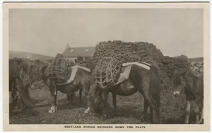 SHETLAND PONIES BRINGING HOME THE PEATS - Shetland Postcard (P5046) - Picture 1 of 2