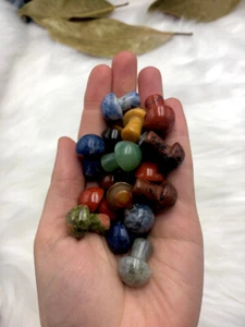 Mini mushrooms - assorted - Picture 1 of 1