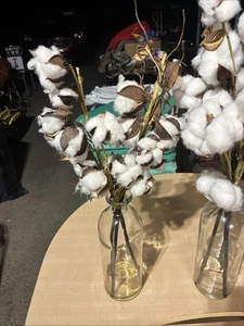 Artificial Cotton Stems In Glass Vase - Picture 1 of 3