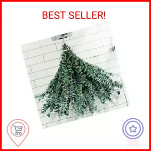 30 Pcs Dried Preserved Eucalyptus Stems Shower Bundle, 9oz 17" Natural Fresh Euc - Picture 1 of 2