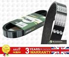 V Ribbed Belt For Land Rover DEFENDER 98-16 DISCOVERY 98-04 PQS101500