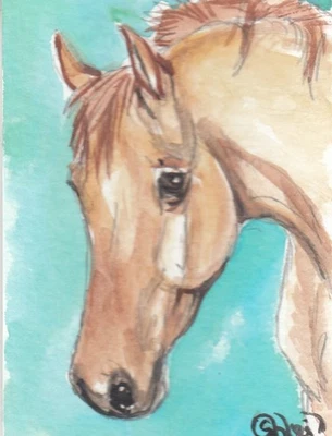 Tarjeta de arte de acuarela original ACEO cara de plato rojo DUN potra **BF compra 3*** Foto 1 de 3