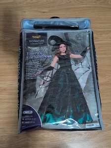 Spirit Kids Girl's Emerald Enchantress Wicked Witch Halloween Costume Dress Up  - Picture 1 of 10