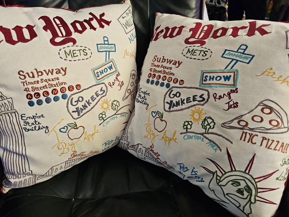 Juego de 2 almohadas para decoración del hogar Cloud 9 Design New York usadas en excelente estado Foto 1 de 4