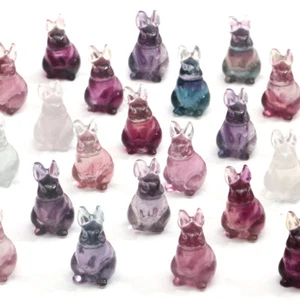 Mini cristal de cuarzo de conejo tallado a mano de fluorita natural de 5 piezas Reiki curación - Imagen 1 de 5