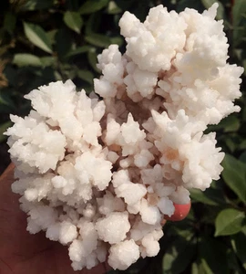 562g TOP!!! New Find Raw Natural Jiejingshi Crystal Snowflake Specimens ip0756 - Picture 1 of 12