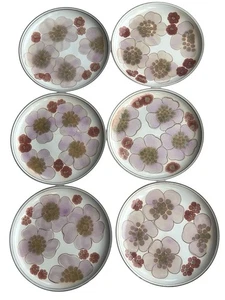 DENBY England Speiseteller rosa Blumen Zigeuner Muster 10,25" TOP 6er SET - Bild 1 von 1