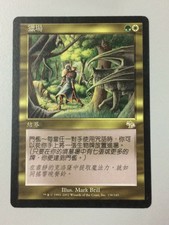 Hunting Grounds T-Chinese Asian MTG Judgment Ex+ cond