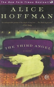 The Third Angel : A Novel by Alice Hoffman (2009, Trade Paperback) Brand New - Imagen 1 de 2