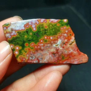 Raro 10G Natural Pulido Orbicular Océano Jaspe Reiki Curación R1126 - Imagen 1 de 13