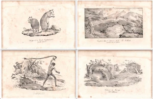 1839 J. Arago AUSTRALIA engravings (4) ~ Kangaroo Snake War ~ Nouvelle Hollande - Picture 1 of 9