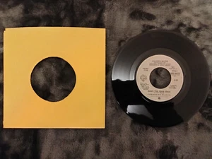 Lauren Wood Save The Man (Edit) 1979 Promo-Waner Bros. [WSB 49213] Stereo & Mono - Picture 1 of 3
