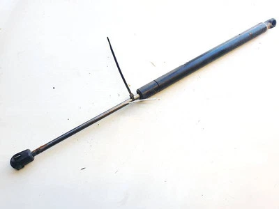 8200119500 muelle de presión de gas capó Renault Scenic DE1826993-95 Foto 1 de 4