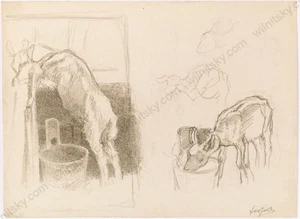 Ferdinand Karl Gold (b.1882) "Animalist Studies", Drawings, Early 20th Century - Picture 1 of 2