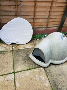petmate igloo large