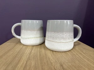 Tazza Ombra Smaltata Grigio X2 Sass & Belle Tazze Grandi Tè Caffè - Foto 1 di 6