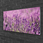 Tableau sur verre Image Impression 100x50 Floral Fleurs