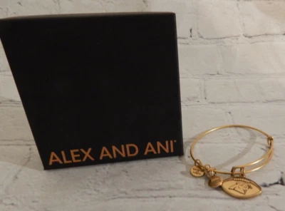 Alex and Ani NFL 卡罗莱纳黑豹队足球金色可调节手链 — 第 1/2 张图片