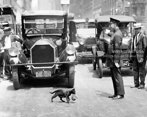 Funny Cat Photo Vintage 1920s NYC Police Officer Stops Traffic for Mother Cat - Picture 1 of 1