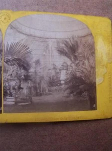 Stereoscopic Stereo-view Stereoscope Exposition Universal 1867 - Picture 1 of 1
