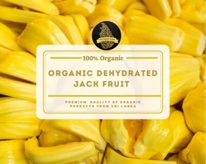 JACK FRUIT 100% disidratato puro essiccato non OGM, kosher, crudo, vegano - Foto 1 di 6