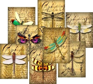8 DRAGONFLY NOTE CARDS BLANK INSIDE GLOSSY IVORY CARD STOCK ORGANZA BAG - Picture 1 of 5
