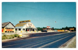 PARCHE PARA PERROS, KENTUCKY - ZOOLÓGICO GRATUITO EN CARRETERA Y GRANERO DE GANGAS - POSTAL VINTAGE - Imagen 1 de 2