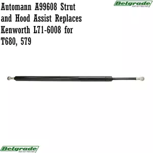 Automann A99608 Strut and Hood Assist Replaces Kenworth L71-6008 for T680, 579 - Foto 1 di 1