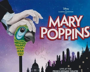 Charlie Stemp HAND SIGNED 8x10 Photo, Autograph, Crazy For You, Mary Poppins (E) - Picture 1 of 2