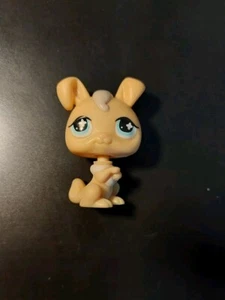 Littlest Pet Shop Hase Kaninchen Beige McDonalds Happy Meal - Bild 1 von 1
