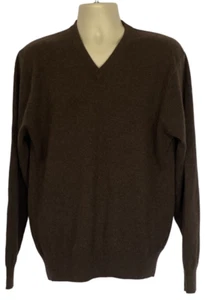 Daniel Bishop Sweater Mens Large Brown Golf Cashmere Long Sleeve V Neck Pullover - Picture 1 of 8