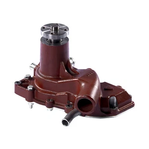 Bomba de Agua para Hürlimann H-6115 Hasta H-6190, Elite, Master, SX-1200 XT-913 - Imagen 1 de 1