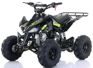 2025 PANTHER 110cc KIDS QUAD BIKE - SELF ASSEMBLY OR OPTIONAL ASSEMBLY - BLACK - Picture 1 of 6