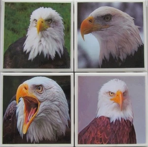 Juego de 4 - Posavasos de azulejos de cerámica hechos a mano - Eagle (Compra 2 juegos y obtén 1 gratis) 2 A - Imagen 1 de 7