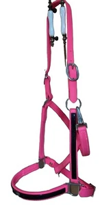  Amish made  BRAHMA WEBB hot pink with black overlay HORSE HALTER - Picture 1 of 2