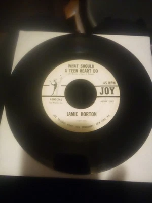 Jamie Horton WHAT SHOULD A TEEN HEART DO (PROMO ROCK 45)#245 PLAYS VG++NO NOISE! - Image 1 of 4