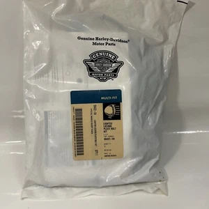 Harley-Davidson Lighted License Plate Bolt 59422-04 New OEM - Bild 1 von 7