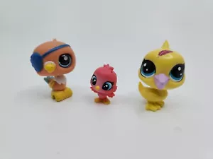 Littlest Pet Shop 882 Pirat Papagei Nr # Lucky Yellow Pelikan 13-264 Chirpley - Bild 1 von 9